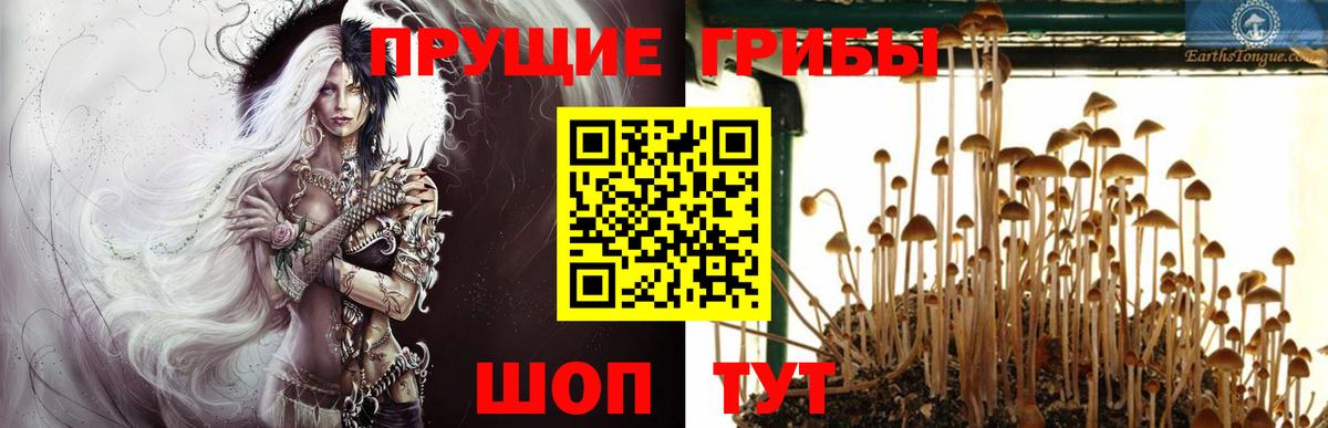 Ликино-Дулёво  Псилоцибиновые грибы Psilocybe  Галлюциногенные грибы Psilocybe  Вход с VPN 
